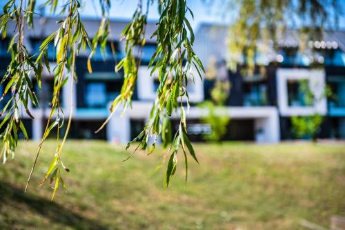 a close up of leaves on a tree in a park at Open Hotel Szentes in Szentes