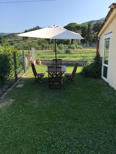 a table and chairs under an umbrella in a yard at casamariu in Lucca