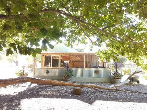 a house with a tree branch in front of it at Jamieson Valley Retreat in Howqua