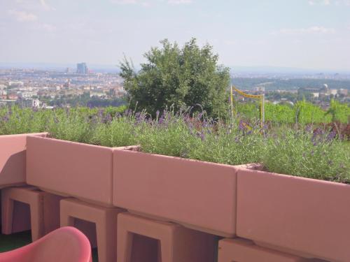 Billede fra billedgalleriet på Palace Hostel Vienna i Wien