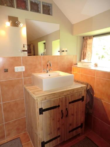 a bathroom with a sink and a mirror at de Kruik in Blesdijke