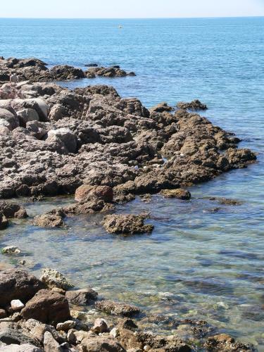 Φυσικό τοπίο κοντά σε αυτό το δωμάτιο σε οικογενειακή κατοικία