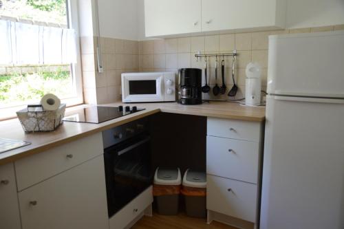 a kitchen with a white refrigerator and a microwave at Ferienwohnung Burgblick Bilstein in Bilstein