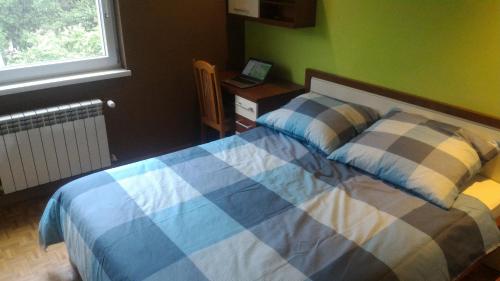een slaapkamer met een bed en een laptop op een bureau bij Hołcyna in Brenna
