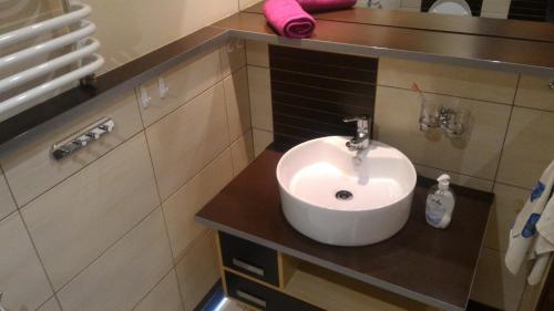 a bathroom with a white sink and a counter at Hołcyna in Brenna