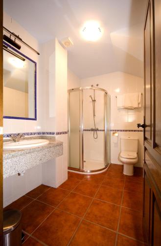 a bathroom with a shower and a toilet and a sink at La Venta de los Arribes in Formariz