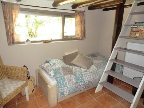 a bedroom with a bunk bed and a ladder at de Kruik in Blesdijke