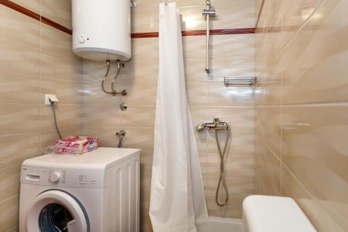 a bathroom with a washing machine and a shower at Apartman Dobrila in Vrh