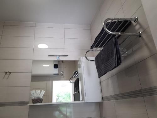 a bathroom with a shower and a mirror at eVita Fazana Premium Studio Apartments in Fažana