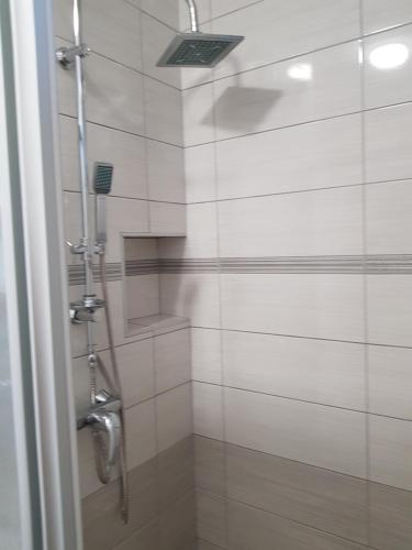 a bathroom with a shower with a shower head at eVita Fazana Premium Studio Apartments in Fažana