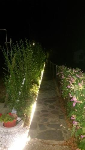 Сад в Villa Ermilia