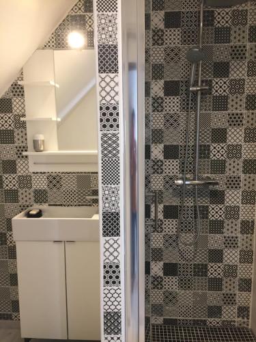 une salle de bain avec une douche avec un lavabo et un miroir dans l'établissement Au Carroir de France, à Saint-Aignan