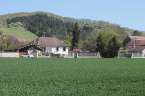 Le Rucher – Photos 4