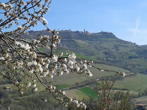 Il podere del nonno – Photos 4