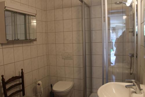 a bathroom with a toilet and a sink and a shower at FILD - Holiday Apartment in Saint-Vith