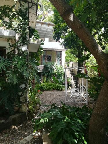 a garden with a white gate and some plants at Villa Carolina Bed and Breakfast in San Felipe de Puerto Plata