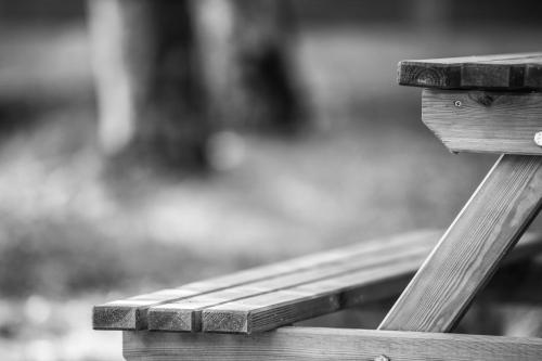 a black and white photo of a wooden bench at Aurora in Potos
