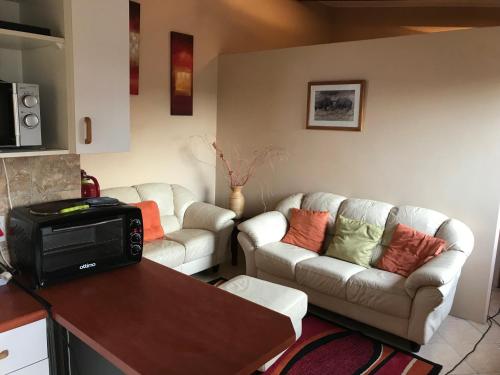 a living room with two couches and a tv at Cheetah Lodge Guest House in Hartenbos
