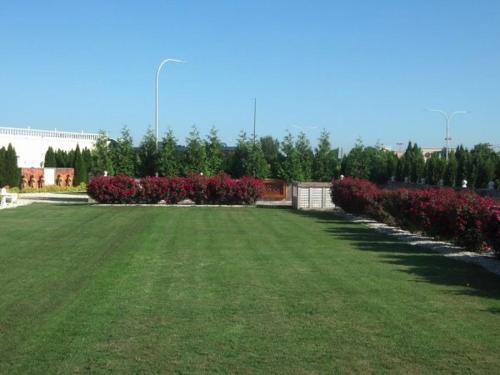 a large green yard with red flowers and bushes at dover garden suites in Dover