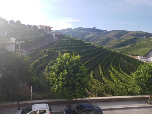 a vineyard with cars parked on the side of a hill at Cacho D´ouro in Santa Marta de Penaguião