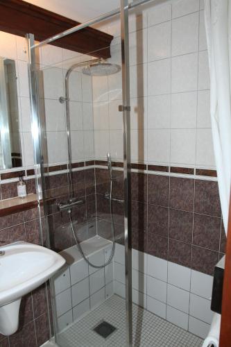a bathroom with a shower and a sink at Hotel Royal Albion in Mesnil-Val-Plage