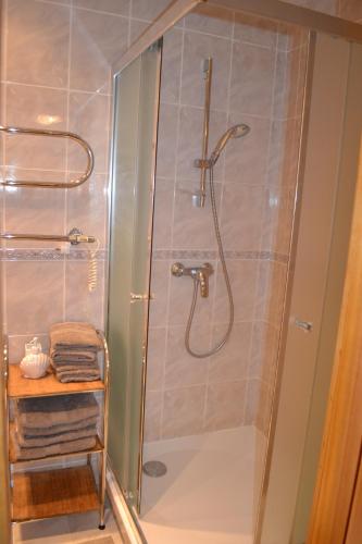 a shower with a glass door in a bathroom at Pas Virginiją in Nida