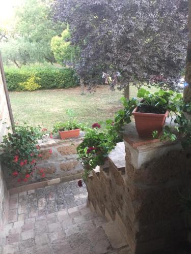 Zahrada ubytování Agriturismo Casale Loreto