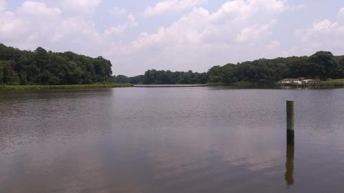 a lake with a pole in the middle of it at Marvels on the creek in East New Market