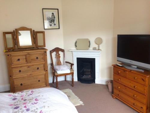 a bedroom with a fireplace and a television and a dresser at Kilreany in Sidmouth