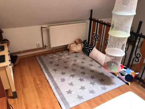 a child laying on the floor in a room at Apartmány Dolní Moravice in Dolní Moravice