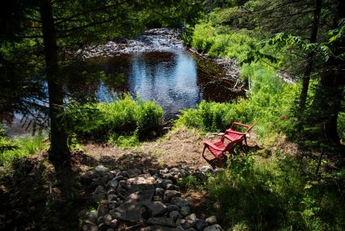 a red bench sitting in front of a pond at Chalet Versailles in Saint Come