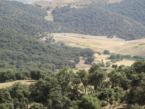 a view of a valley with trees and mountains at Le Gite du Barrage in Zaouia Ben Smine