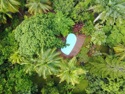 an overhead view of a blue object in a forest at Les Manguiers in Deshaies