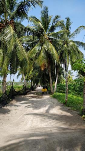 a dirt road with palm trees on the side at Athiriveli in Thoddoo