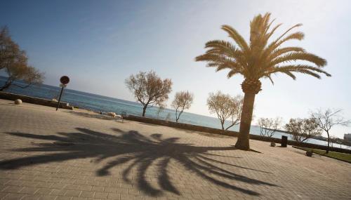 a shadow of a palm tree on a sidewalk next to the ocean at Hotel Mariant in S'Illot