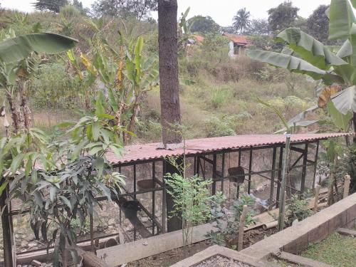 a wooden bridge in a forest with trees at Nabila Syar'i Guest House in Padalarang