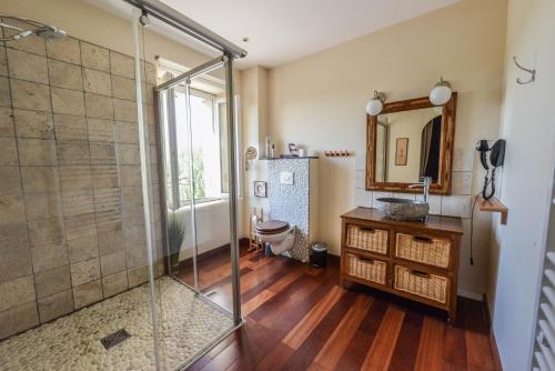 a bathroom with a shower and a toilet and a sink at La Grande Oasis - B&B et Spa in Grazac