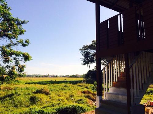 a view from the porch of a house in a field at Kejora Homestay in Kangar