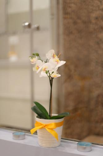 Lemon House Apartment