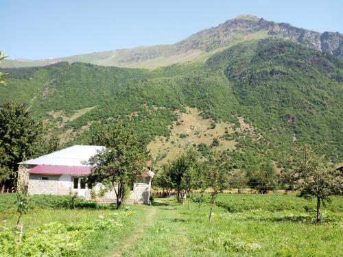 Landskap semula jadi dekat dengan rumah tamu ini
