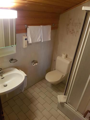 a bathroom with a white toilet and a sink at Hotel Central in Agarn