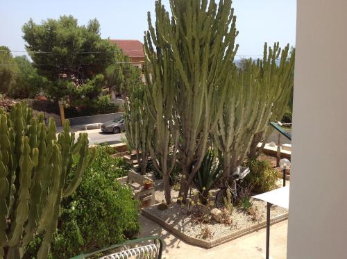 B&B Villa Tania – Photos 3