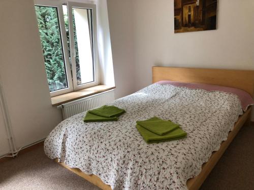 Un dormitorio con una cama con servilletas verdes. en Penzion Speller, en Vysoký Újezd