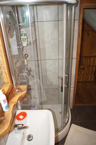 a bathroom with a shower and a toilet and a sink at Guest House Glogovac in Kamenica