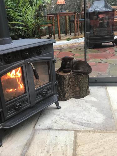 a black cat laying on a stump next to a stove at JustB Edinburgh in Edinburgh