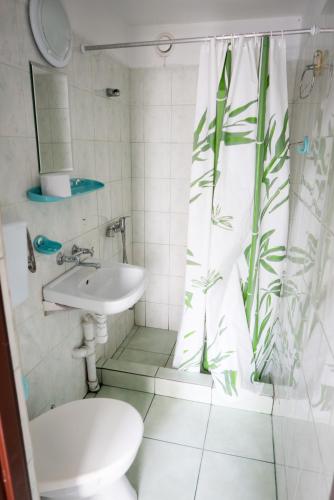 a bathroom with a sink and a toilet and a shower curtain at Baltic in Łeba