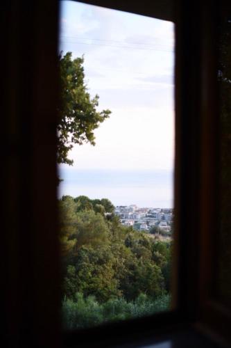 Gallery image of B&B dei Fiori in Praia a Mare
