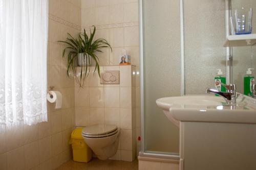 a bathroom with a toilet and a sink and a plant at Zum Dorfschullehrer in Lübbenau
