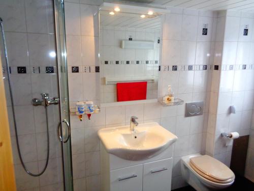 een badkamer met een wastafel, een toilet en een douche bij Haya in Naters