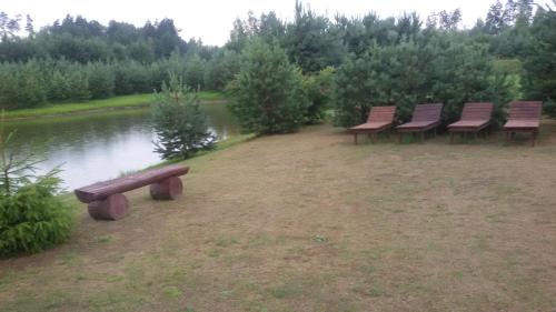 a row of benches sitting next to a body of water at Viesu māja Forrest in Dzimtmisa